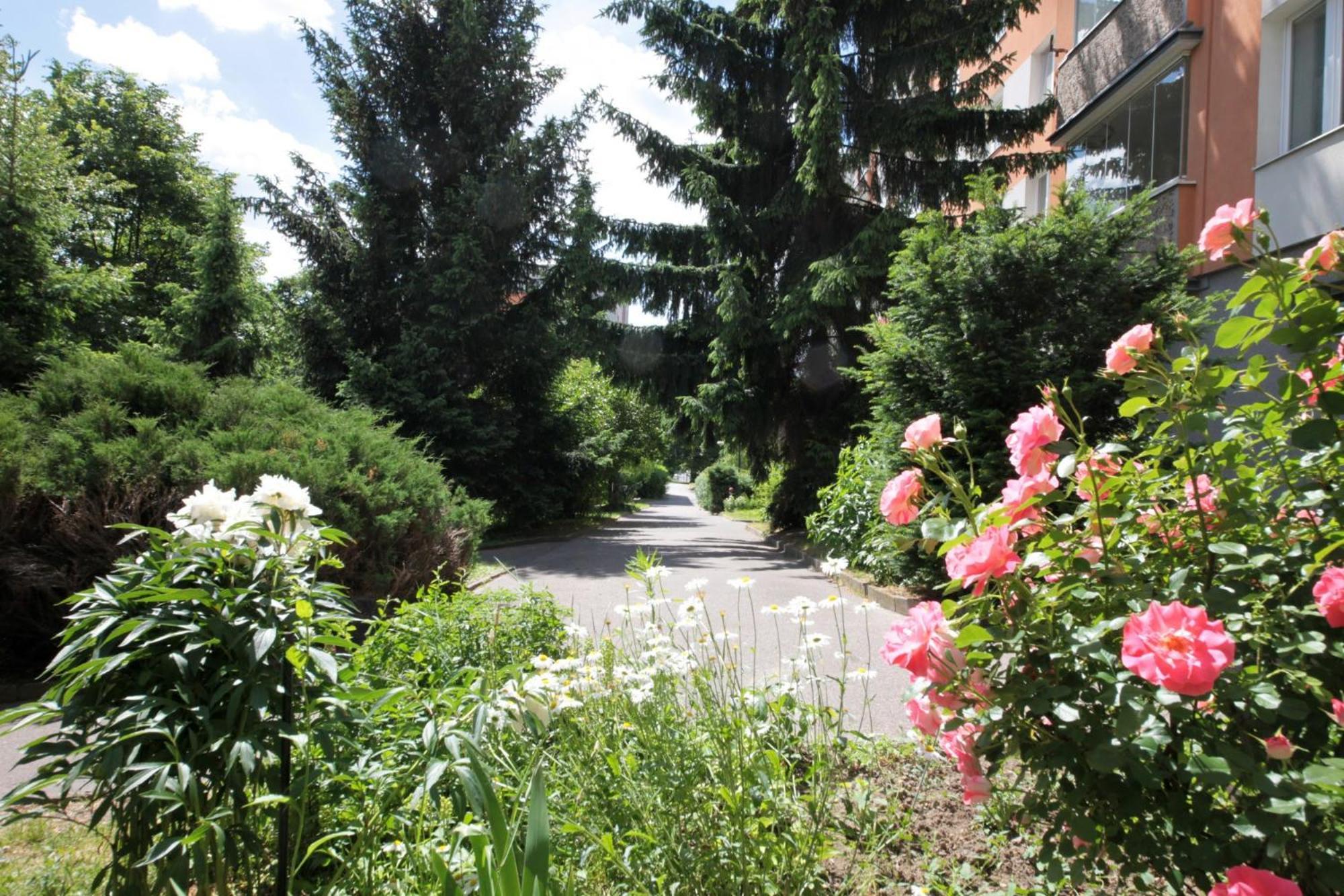Jana'S Apartment, Free Parking Прага Экстерьер фото